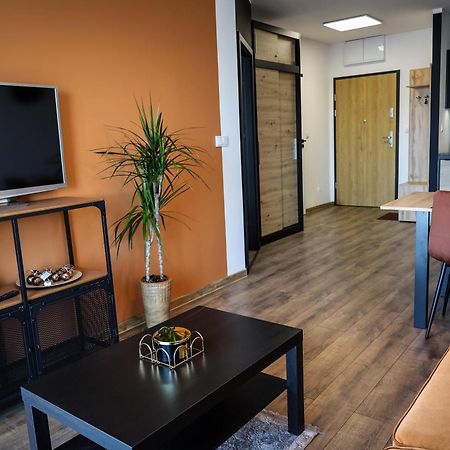 Apartament Ginger - Stare Miasto - Bezplatny Parking - Youtube Apartament Ginger We Wroclawiu מראה חיצוני תמונה