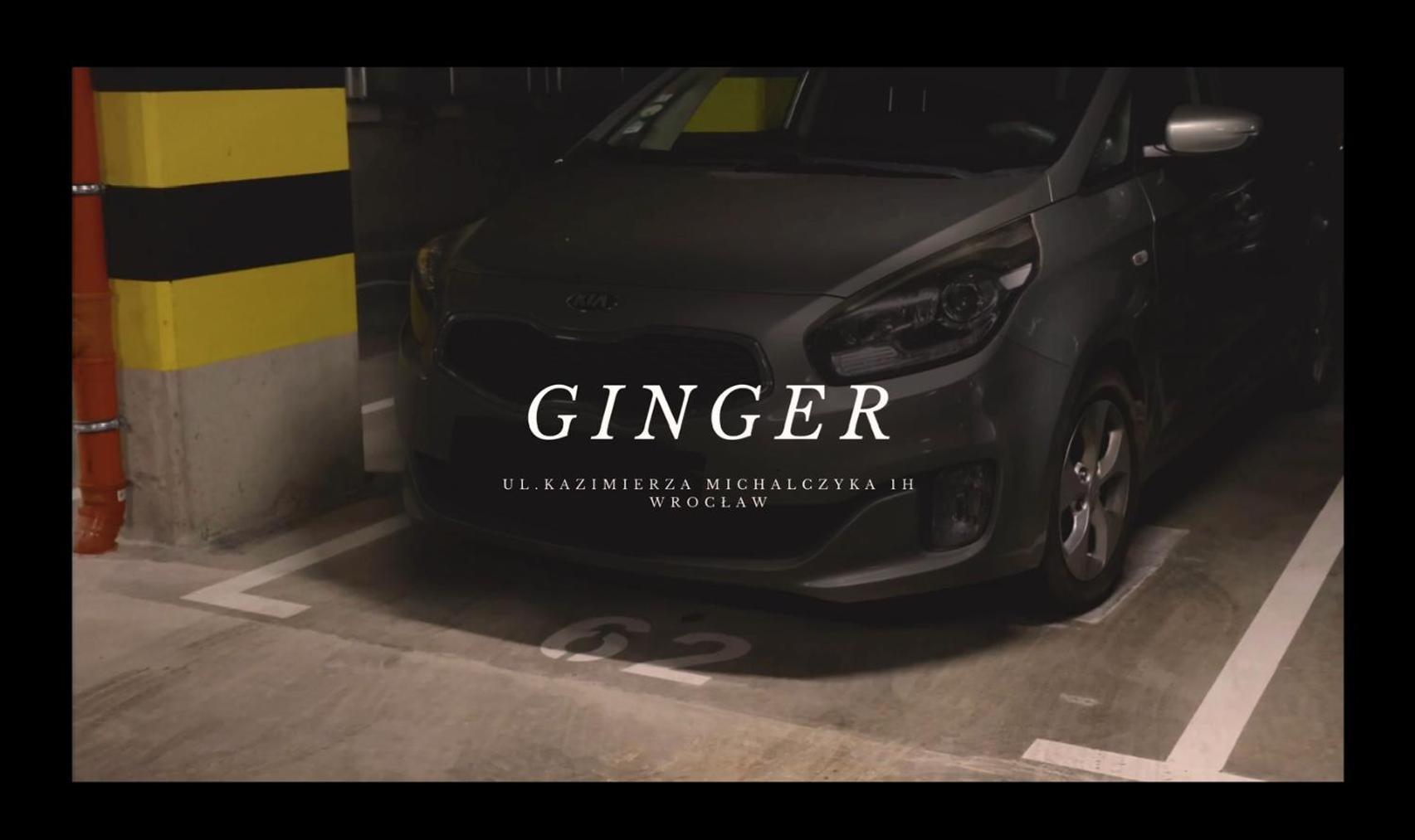 Apartament Ginger - Stare Miasto - Bezplatny Parking - Youtube Apartament Ginger We Wroclawiu מראה חיצוני תמונה